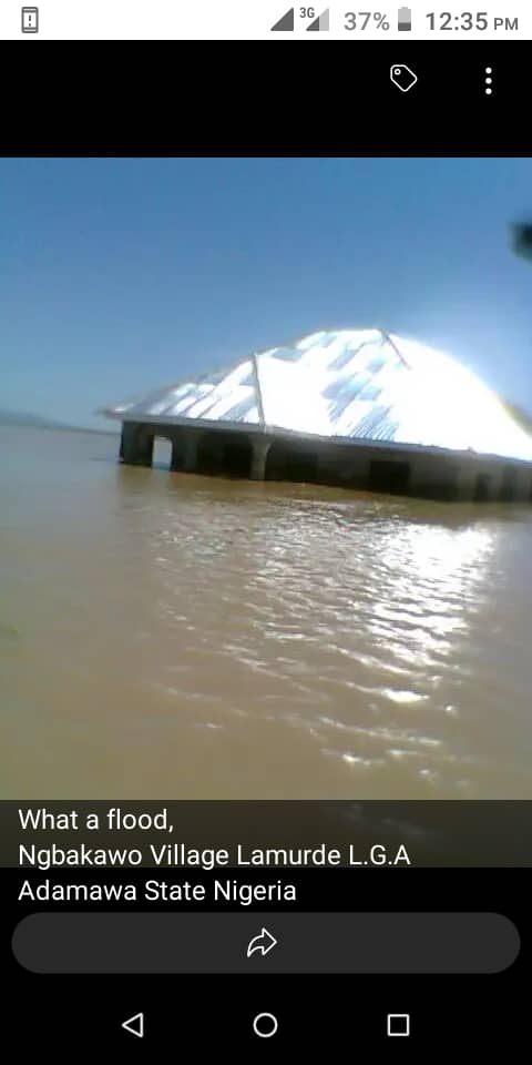 Relief Distribution to Flood Victims | October and November 2022